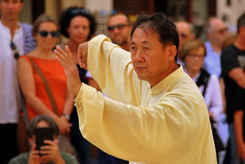 Sun Style Tai Chi meditation